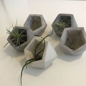 Geometric planters with drainage hole